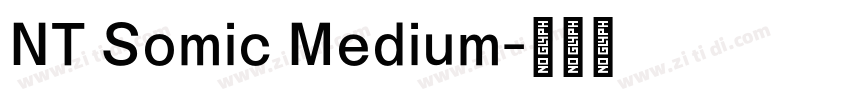 NT Somic Medium字体转换